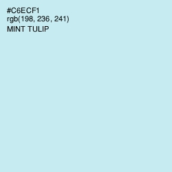 #C6ECF1 - Mint Tulip Color Image